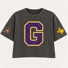 Load image into Gallery viewer, Granbury Pirates vintage crop Design 2 in Pepper
